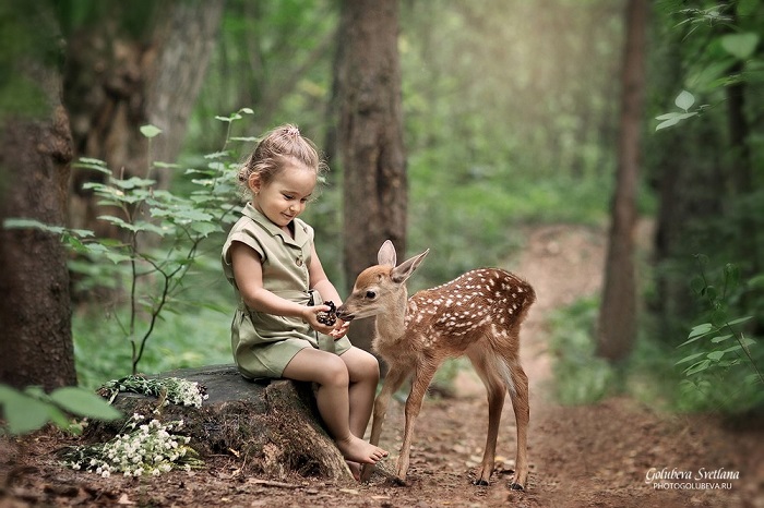 Beautiful text about kindness to animals 1