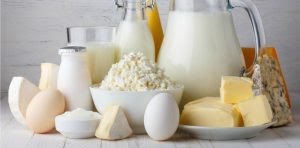 Dairy products milk cottage cheese eggs yogurt 810x400 300x148