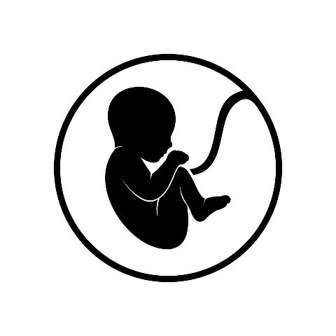 Fetus icon free vector copy 480x480