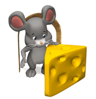 Raton queso 127