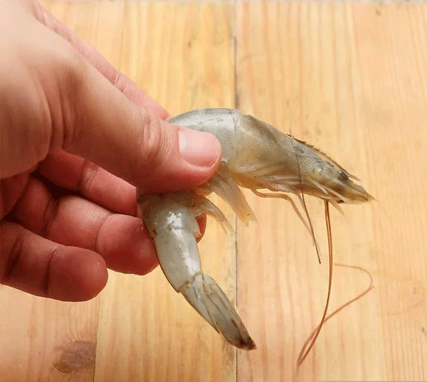 Shrimp clean2